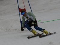 IMG 4665